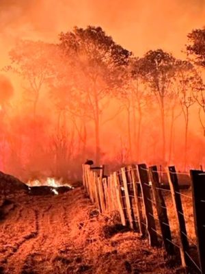 incendio_pantanal_1170x530