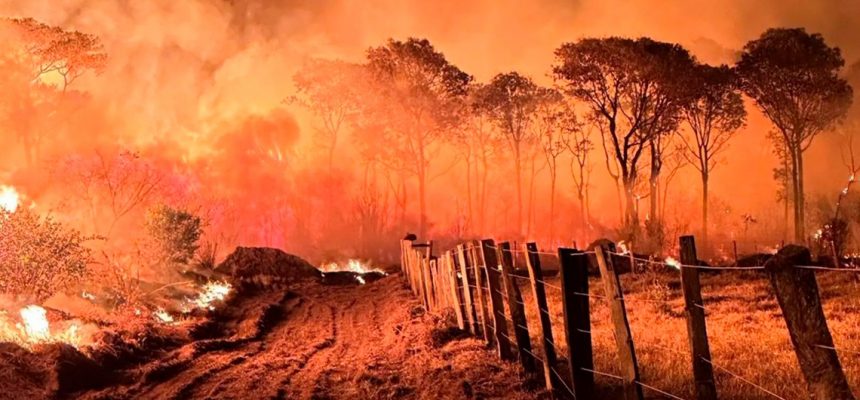 incendio_pantanal_1170x530