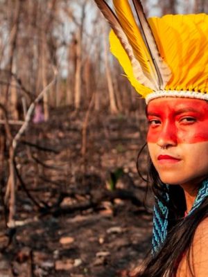 cimi_amazonia_1170x530